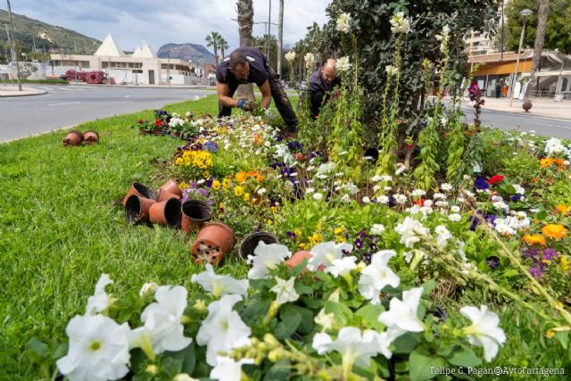 Más de 15.000 flores embellecerán Cartagena en Semana Santa - 1, Foto 1