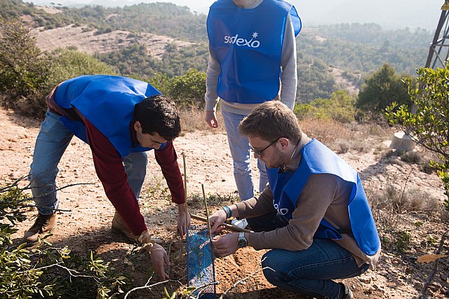 Sodexo Iberia crea el ´Bosque Sodexo´ y planta los primeros 900 árboles en Madrid y Barcelona como parte de su compromiso medioambiental - 1, Foto 1