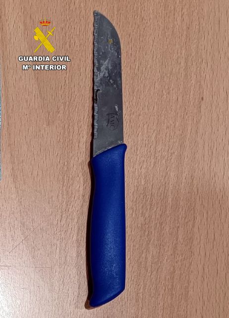 La Guardia Civil detiene al presunto autor de un robo con intimidación en un comercio de Cehegín - 2, Foto 2