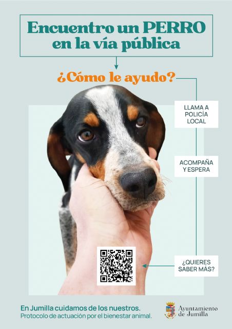 Buenos vecinos, mejores amigos - 4, Foto 4