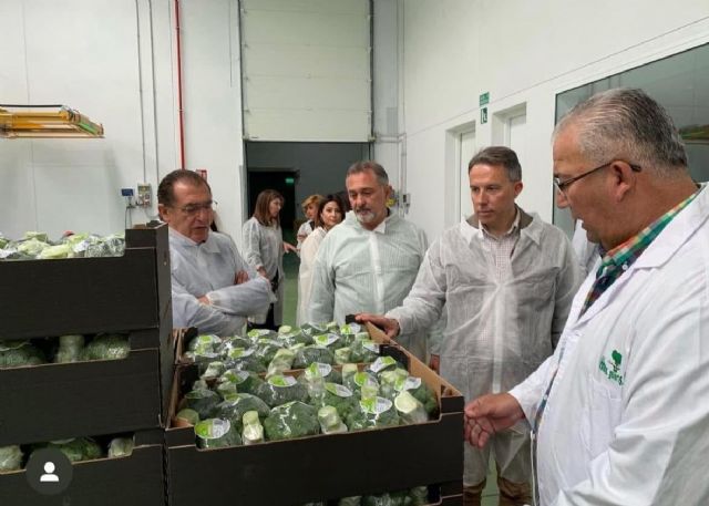 El alcalde muestra su preocupación por el impacto de los aranceles de EE.UU. en el sector agroalimentario de Lorca - 1, Foto 1