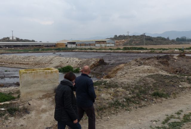 Los empresarios del porcino demandan a dos concejales de IU de Lorca por sus declaraciones en torno a los purines - 1, Foto 1