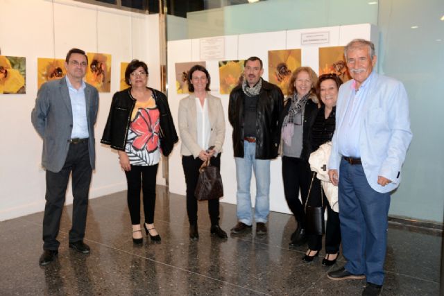 El aguileño Juan Hernández expone sus Abejas en Lorca - 1, Foto 1