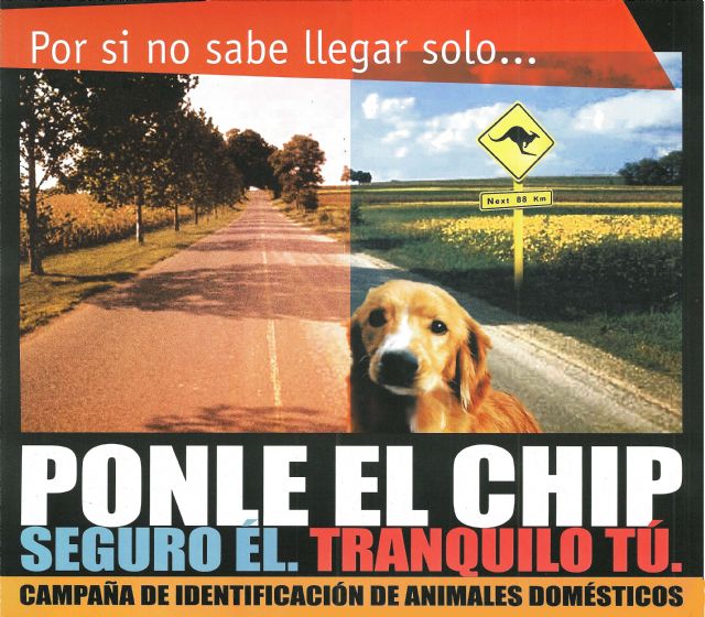 Calidad de Vida continúa con la campaña para registrar a perros, gatos y hurones - 1, Foto 1