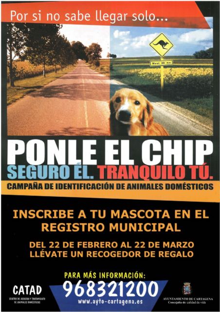 Calidad de Vida continúa con la campaña para registrar a perros, gatos y hurones - 2, Foto 2