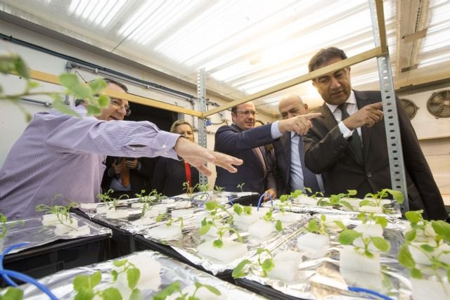 La Región y la Unión por el Mediterráneo apoyarán ante instituciones europeas un proyecto con soluciones innovadoras en gestión de agua - 2, Foto 2