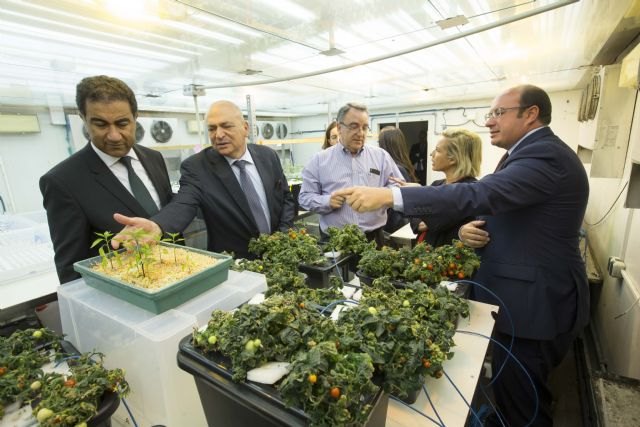 La Región y la Unión por el Mediterráneo apoyarán ante instituciones europeas un proyecto con soluciones innovadoras en gestión de agua - 3, Foto 3