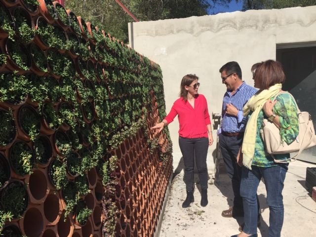 Los alumnos del CIFEA de Molina de Segura conocen las últimas tendencias en el diseño y creación de jardines innovadores - 1, Foto 1