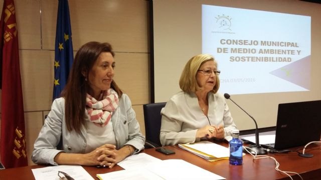 Medio Ambiente presenta en Lorca las medidas del Plan regional de calidad del aire - 1, Foto 1