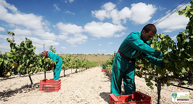 Luzn consigue el certificado de bodega medioambientalmente sostenible, Foto 1