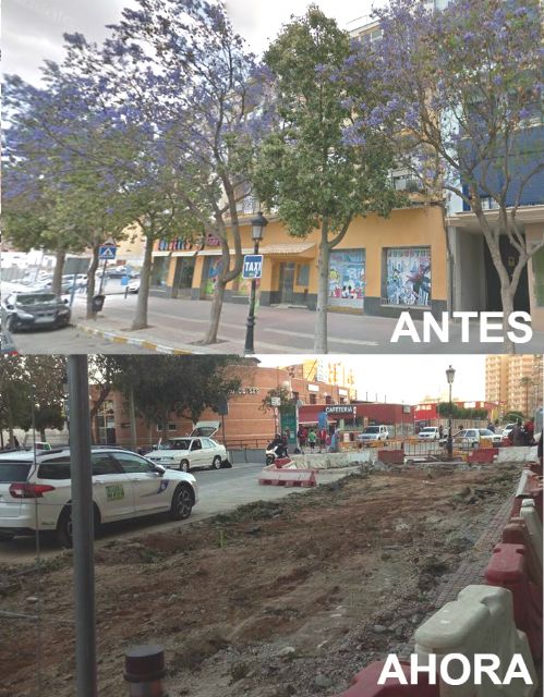 IU-Verdes Lorca denuncia la tala de jacarandas y brachichitos de la plaza de Carruajes - 1, Foto 1