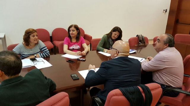 Doce empresas optan a la adecuacion de la isleta del paseo Alfonso XIII que acogera el busto de Jimenez de la Espada - 1, Foto 1