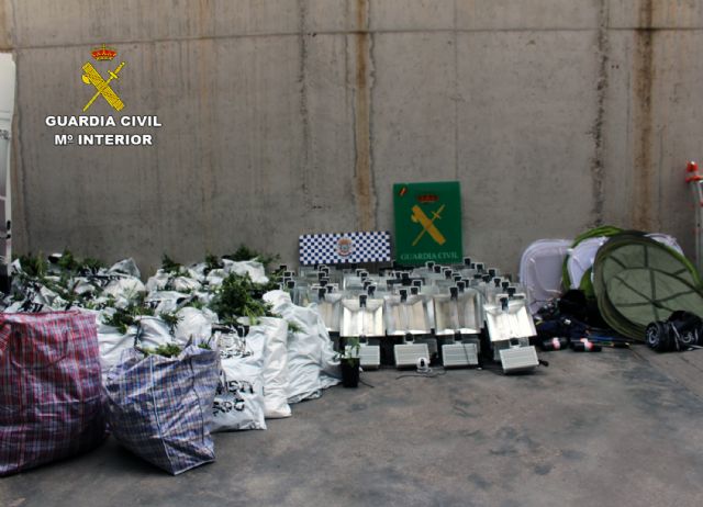 Desmantelan un  invernadero de marihuana en Puerto Lumbreras - 1, Foto 1
