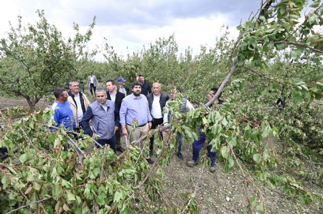 López Miras confirma grandes daños por el granizo y anuncia que la Comunidad pagará el tratamiento de árboles afectados y mediará en el cobro de seguros - 1, Foto 1