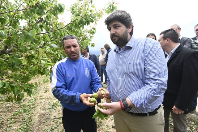 López Miras confirma grandes daños por el granizo y anuncia que la Comunidad pagará el tratamiento de árboles afectados y mediará en el cobro de seguros - 2, Foto 2