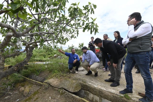 López Miras confirma grandes daños por el granizo y anuncia que la Comunidad pagará el tratamiento de árboles afectados y mediará en el cobro de seguros - 3, Foto 3