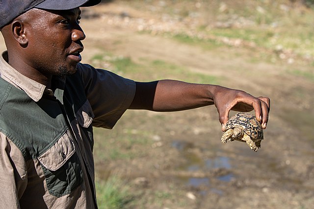 “Los últimos días del África salvaje”, una crónica sobre la desaparición del África ancestral, del periodista Amador Guallar - 2, Foto 2