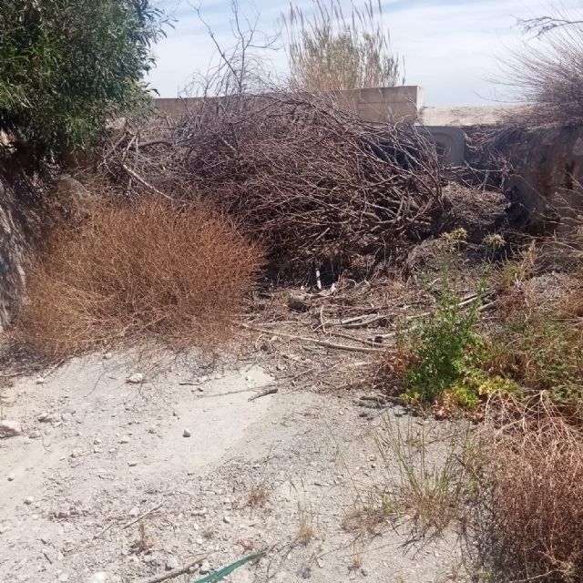 Aguas contaminadas Polígono SAPRELORCA - 2, Foto 2