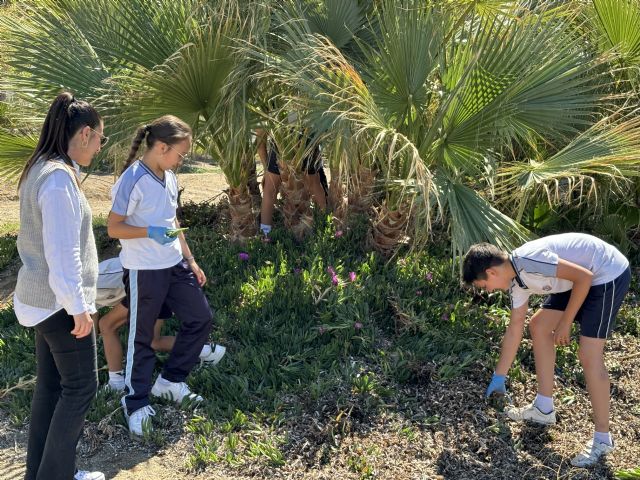 Comienza una nueva edición del programa Stop a la uña de gato - 1, Foto 1