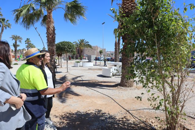 El Ayuntamiento apuesta por la revegetación del Parque del Mar de Lo Pagán - 1, Foto 1