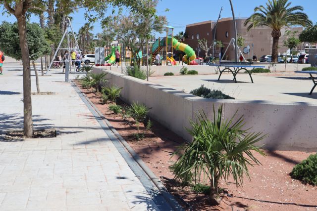 El Ayuntamiento apuesta por la revegetación del Parque del Mar de Lo Pagán - 3, Foto 3
