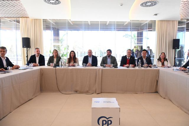 López Miras: Europa es el verdadero muro de contención para que Pedro Sánchez no siga ejecutando sus tropelías - 2, Foto 2