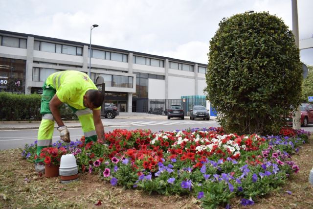 Cartagena apuesta por la eficiencia y la estética con la instalación de césped artificial en parterres urbanos - 1, Foto 1