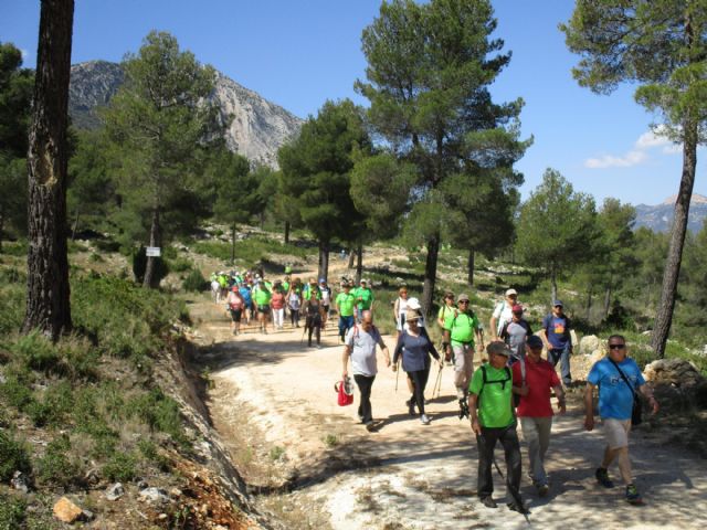 Una ruta por Sierra Espuña puso fin al programa de Senderismo para Mayores de la Concejalía de Servicios Sociales de este semestre - 2, Foto 2