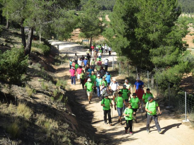 Una ruta por Sierra Espuña puso fin al programa de Senderismo para Mayores de la Concejalía de Servicios Sociales de este semestre - 3, Foto 3