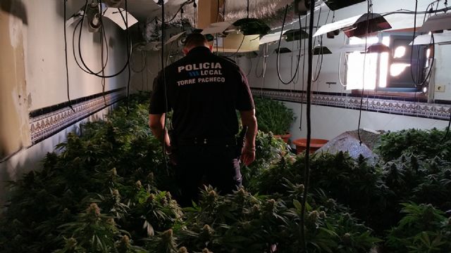 La Policía Local de Torre Pacheco desmantela un punto de cultivo y producción de marihuana - 1, Foto 1