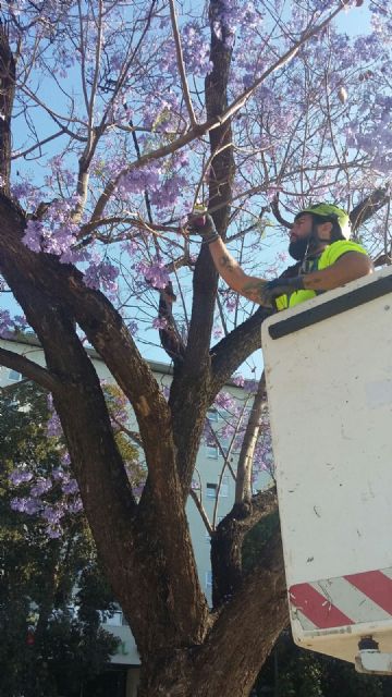 El cuidado de los jardines municipales mejora con la suelta controlada de insectos como método eficaz de lucha contra plagas - 2, Foto 2