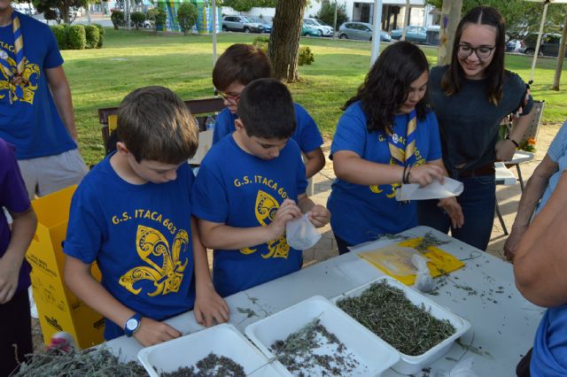 Gran jornada para celebrar el 'Día del Medio Ambiente' en Las Torres de Cotillas - 4, Foto 4
