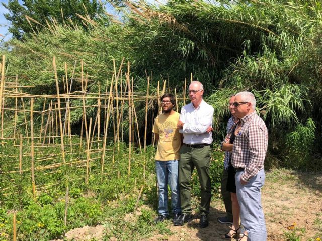 El banco de tierras impulsa el cultivo de parcelas de huerta en desuso con el acuerdo entre propietarios y asociaciones - 1, Foto 1