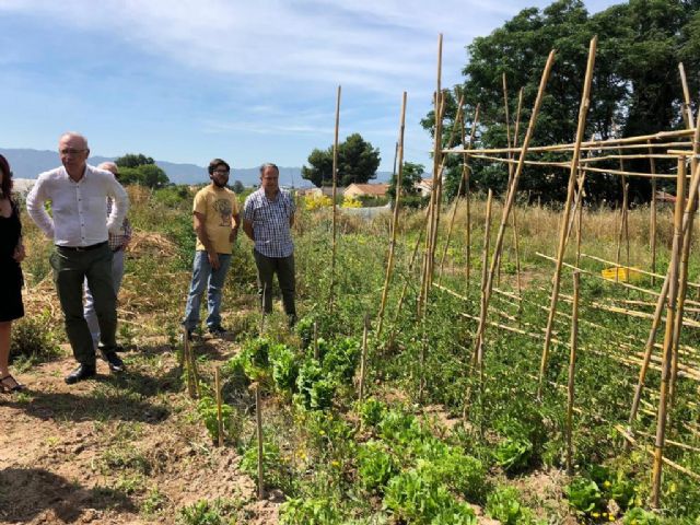 El banco de tierras impulsa el cultivo de parcelas de huerta en desuso con el acuerdo entre propietarios y asociaciones - 3, Foto 3
