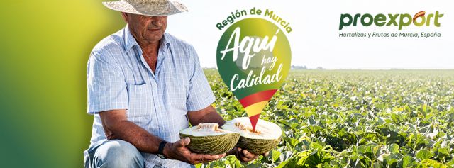 Los primeros melones y sandías de la Región de Murcia llegan con buena calidad y menos calibre - 2, Foto 2