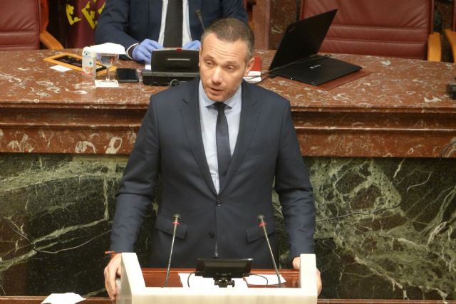 La Asamblea pide al Gobierno de España que permita a los ayuntamientos utilizar el 100% del superávit para los gastos sociales de la pandemia - 1, Foto 1