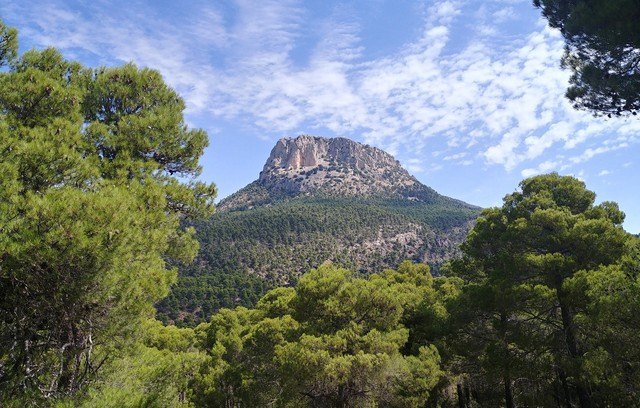 La Región de Murcia se une a la celebración del Día Mundial del Medio Ambiente con un programa de actividades ´online´ - 1, Foto 1