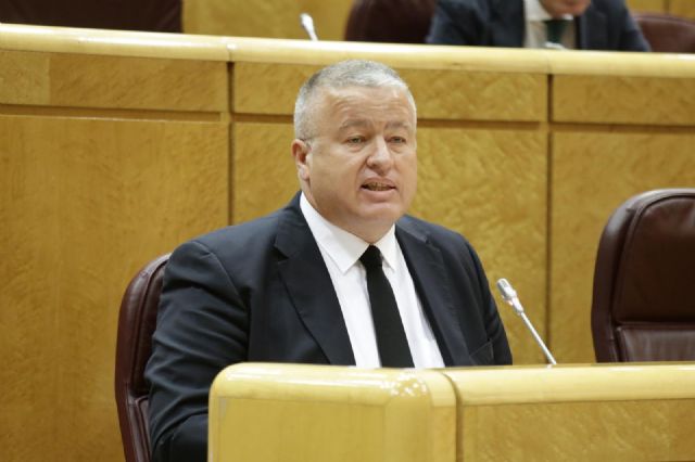 Bernabé recrimina a Ábalos que en los dos últimos años haya dado más fechas de llegada del AVE a Murcia que versiones dio del caso ´Delcy´ - 1, Foto 1