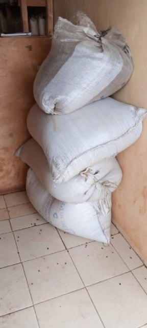 RECLINE, generosidad en tiempos de Coronavirus, Foto 5