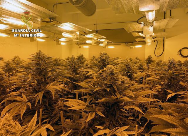 La Guardia Civil desmantela en Cieza un nuevo punto de venta de sustancias estupefacientes - 1, Foto 1