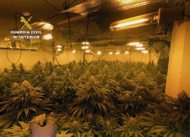 La Guardia Civil desmantela en Cieza un nuevo punto de venta de sustancias estupefacientes - 5, Foto 5