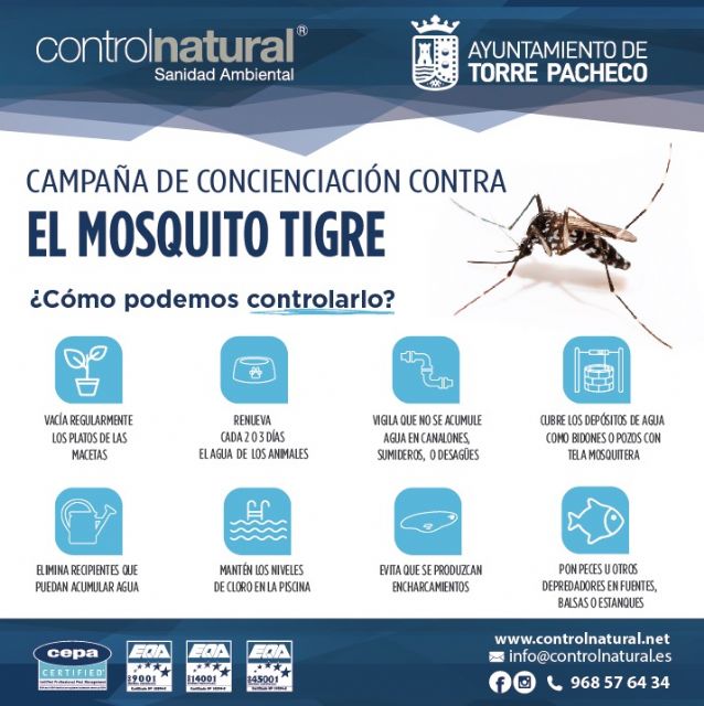 Torre Pacheco previene las plagas de mosquitos con tratamientos larvicidas - 2, Foto 2