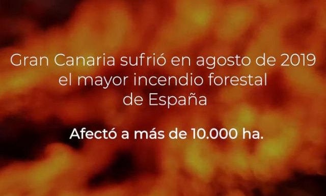 Lanzan una iniciativa para la supervivencia de los bosques - 1, Foto 1