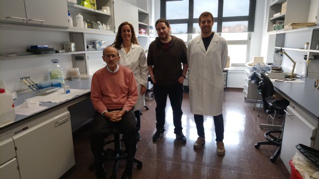 Investigadores de la UMU descubren que las células de Sertoli, de gran importancia en la reproducción, son capaces de renovarse - 2, Foto 2