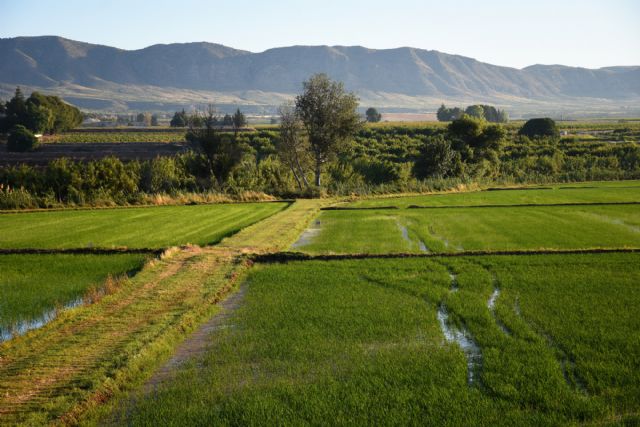 Itinerario entre las aguas bravas, los brotes de arroz y el pasado islámico de Calasparra - 2, Foto 2