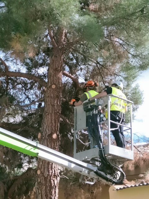 Alumnos del PMEF-GJaprenden poda en altura - 2, Foto 2