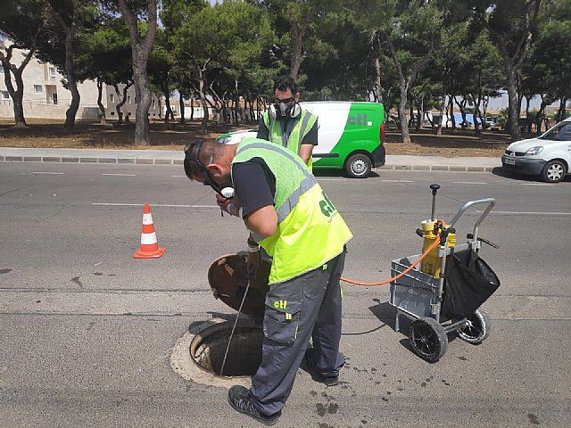 El Ayuntamiento realiza una campaña de desinsectación en todo el alcantarillado municipal - 1, Foto 1