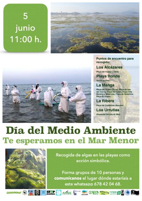 Convocan actos simbólicos de protesta en el Mar Menor por el Día Mundial del Medio Ambiente - 1, Foto 1