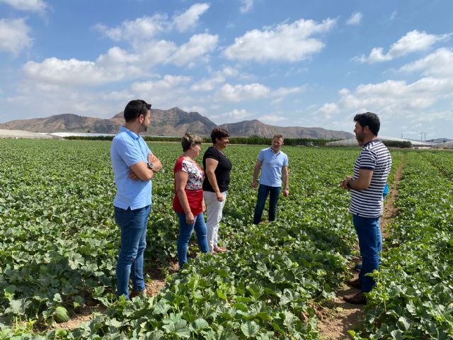 Fiestas del Melón en Torre Pacheco - 2, Foto 2
