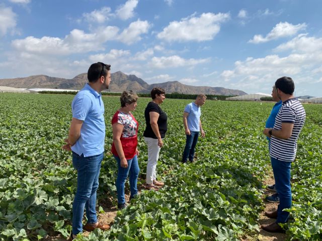 Fiestas del Melón en Torre Pacheco - 3, Foto 3